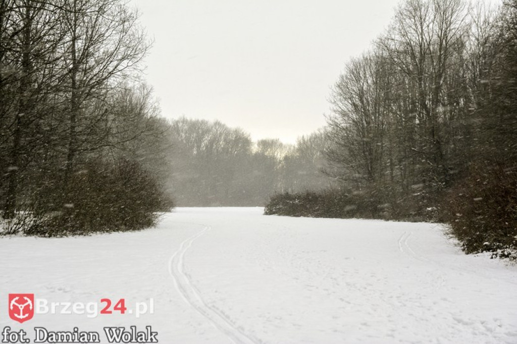 Brzeg zimą cz. 2 - brzeskie parki i 