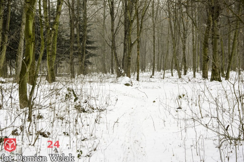 Brzeg zimą cz. 2 - brzeskie parki i 