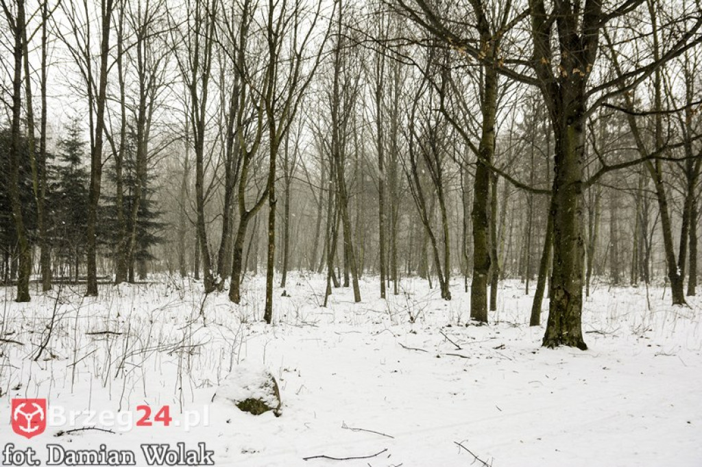 Brzeg zimą cz. 2 - brzeskie parki i 