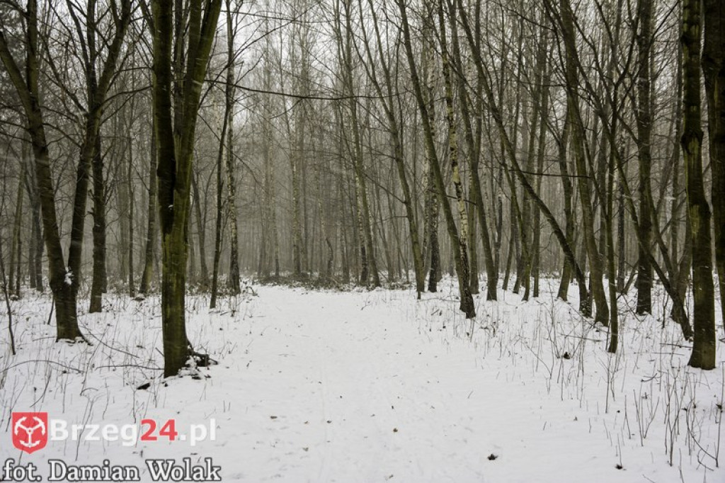 Brzeg zimą cz. 2 - brzeskie parki i 