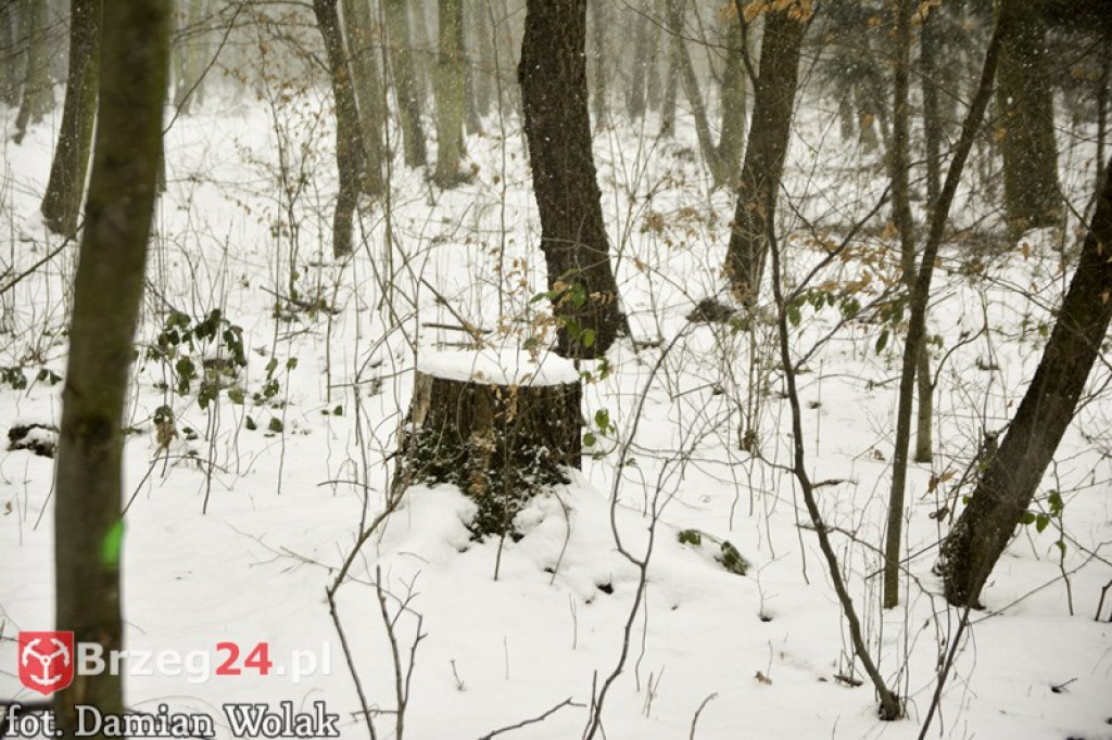 Brzeg zimą cz. 2 - brzeskie parki i 