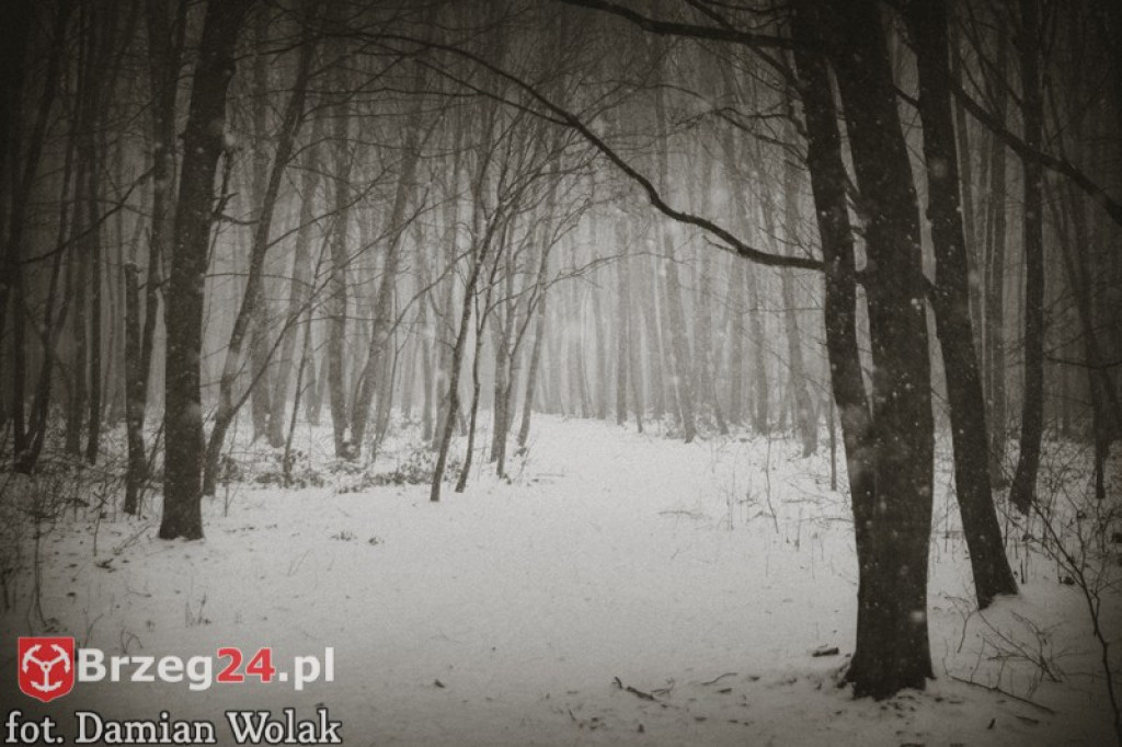 Brzeg zimą cz. 2 - brzeskie parki i 