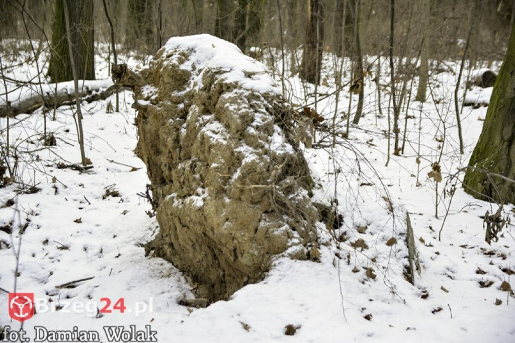 Brzeg zimą cz. 2 - brzeskie parki i 