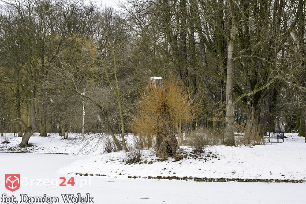 Brzeg zimą cz. 2 - brzeskie parki i 