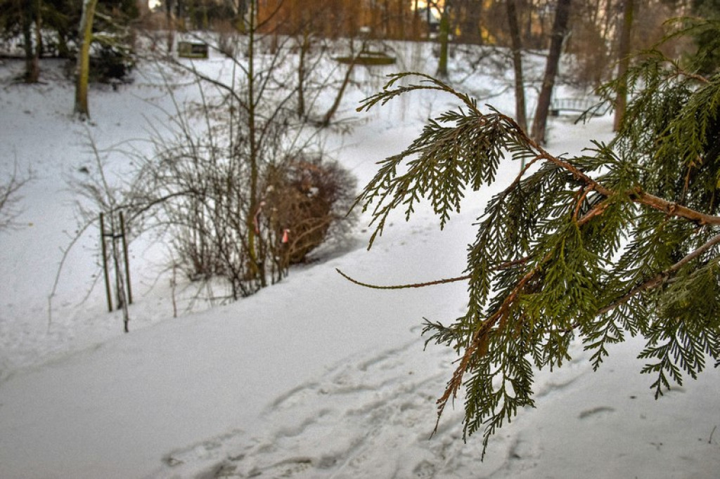 Uwaga na oblodzenia! Ostrzeżenia synoptyków