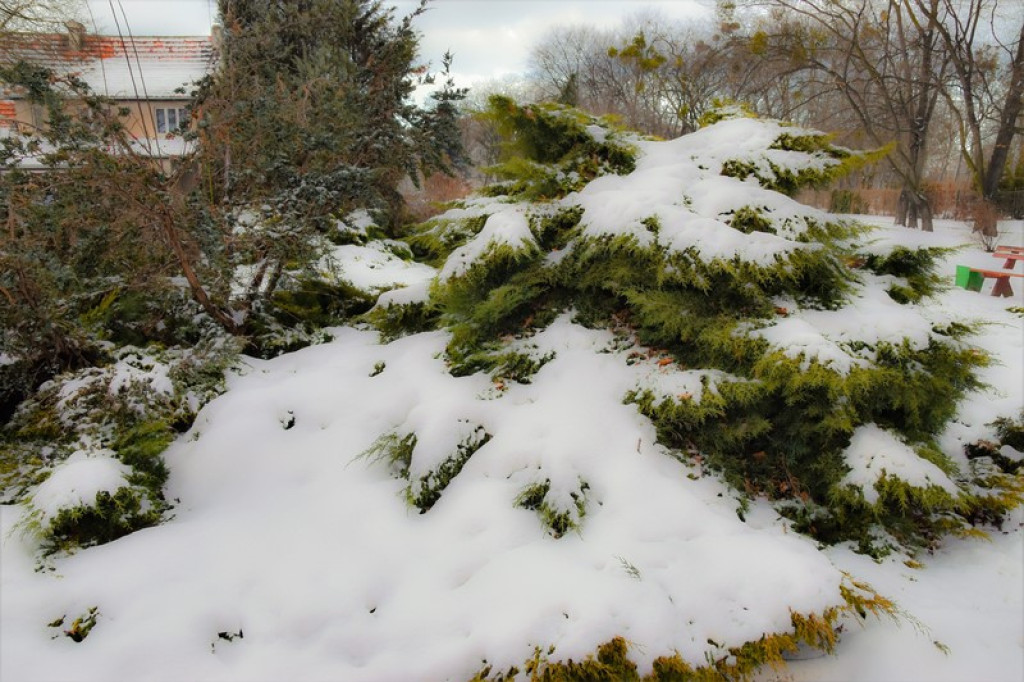 Uwaga na oblodzenia! Ostrzeżenia synoptyków