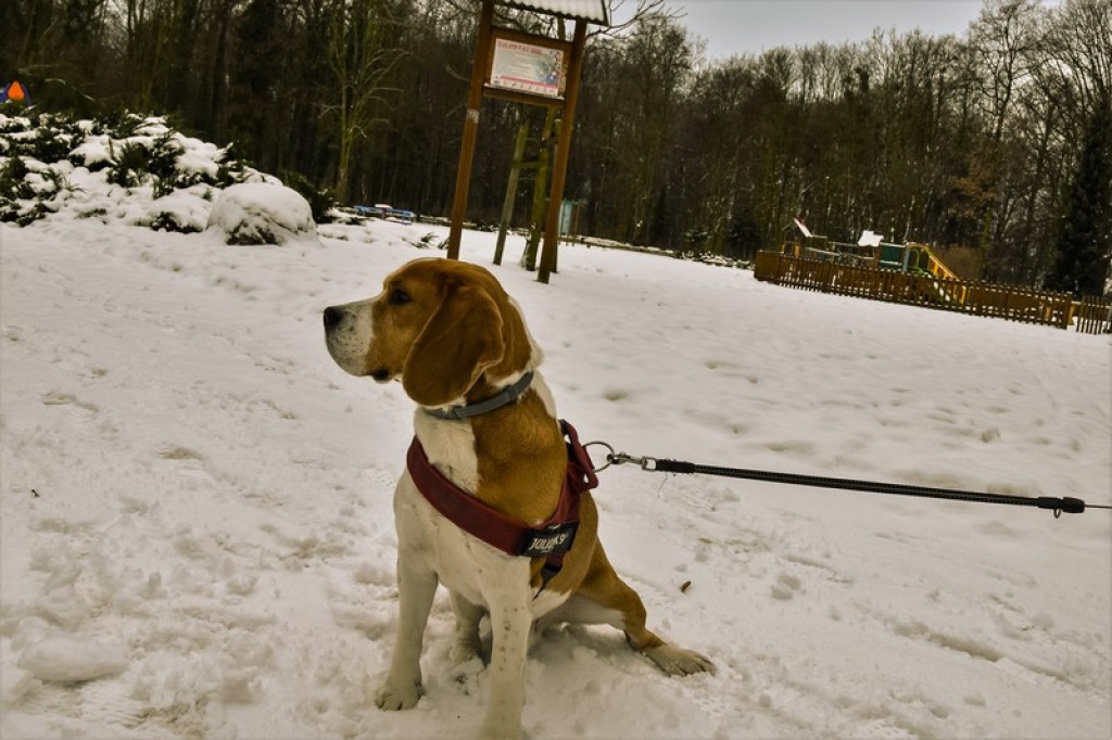 Uwaga na oblodzenia! Ostrzeżenia synoptyków