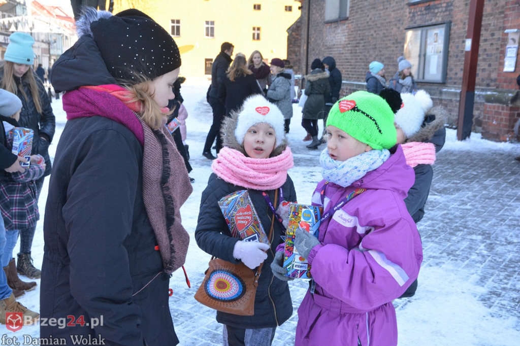 WOŚP 2017: Ponad 70 tysięcy złotych w powiecie brzeskim!