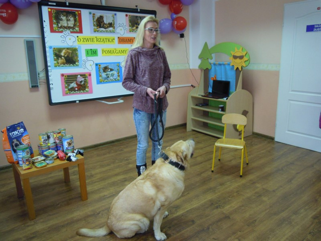 Przedszkolaki kochają zwierzaki