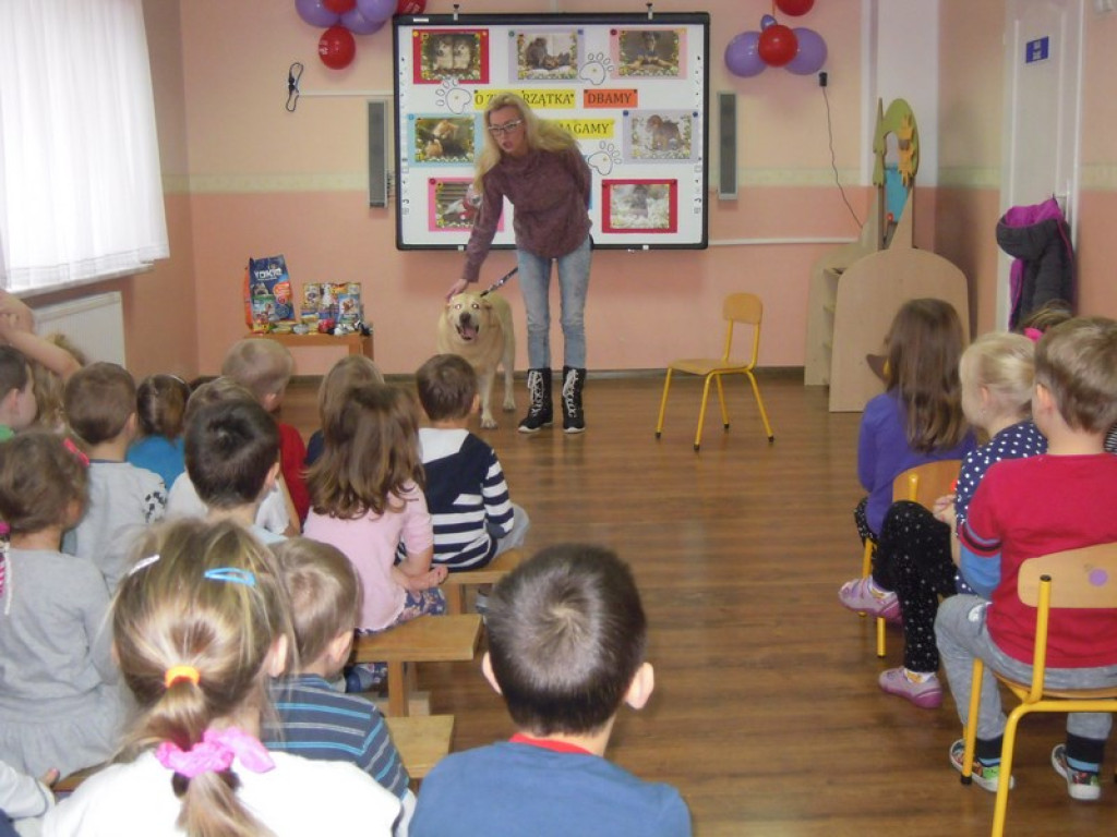 Przedszkolaki kochają zwierzaki