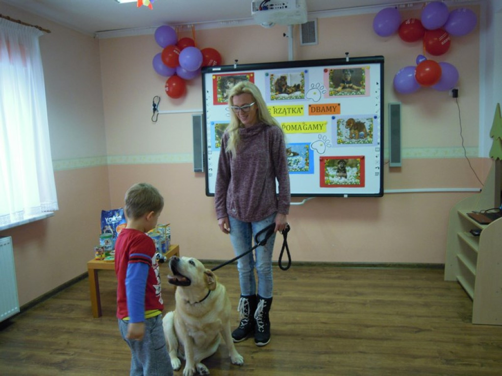 Przedszkolaki kochają zwierzaki