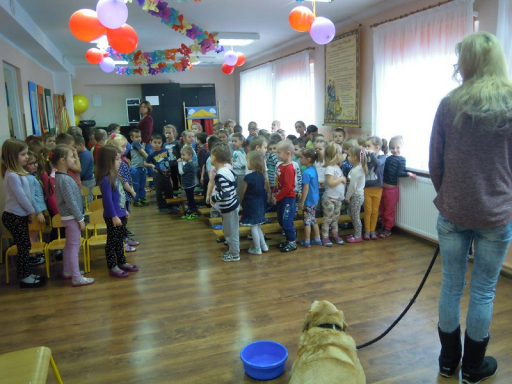 Przedszkolaki kochają zwierzaki