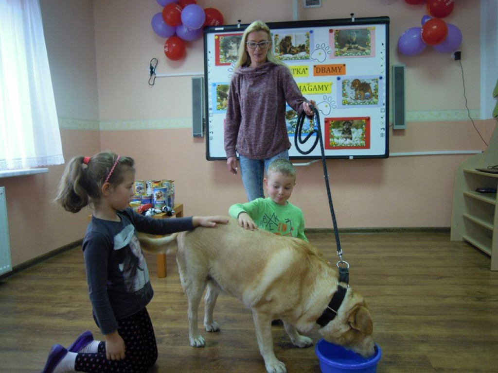 Przedszkolaki kochają zwierzaki