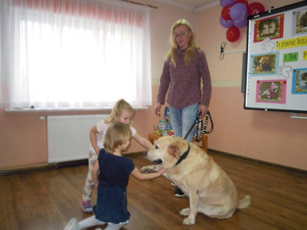 Przedszkolaki kochają zwierzaki