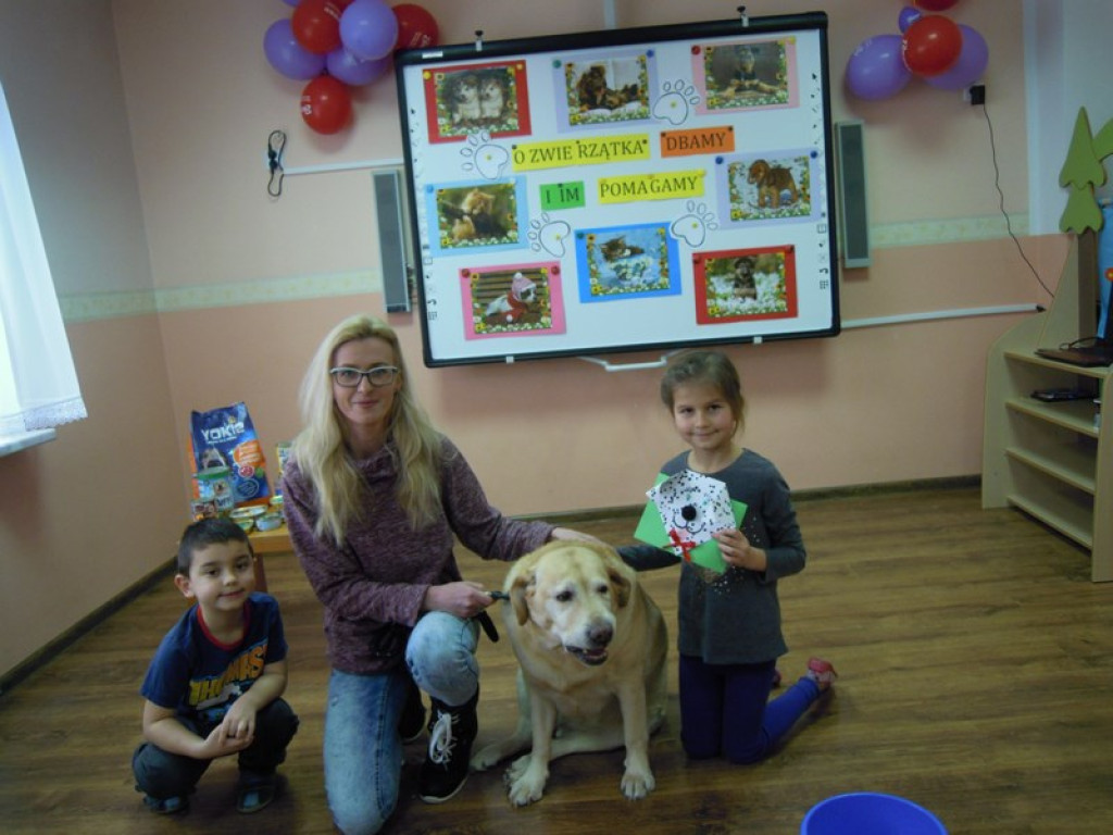 Przedszkolaki kochają zwierzaki