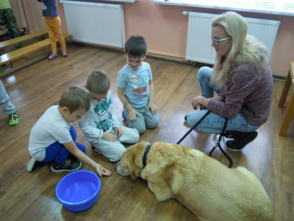 Przedszkolaki kochają zwierzaki