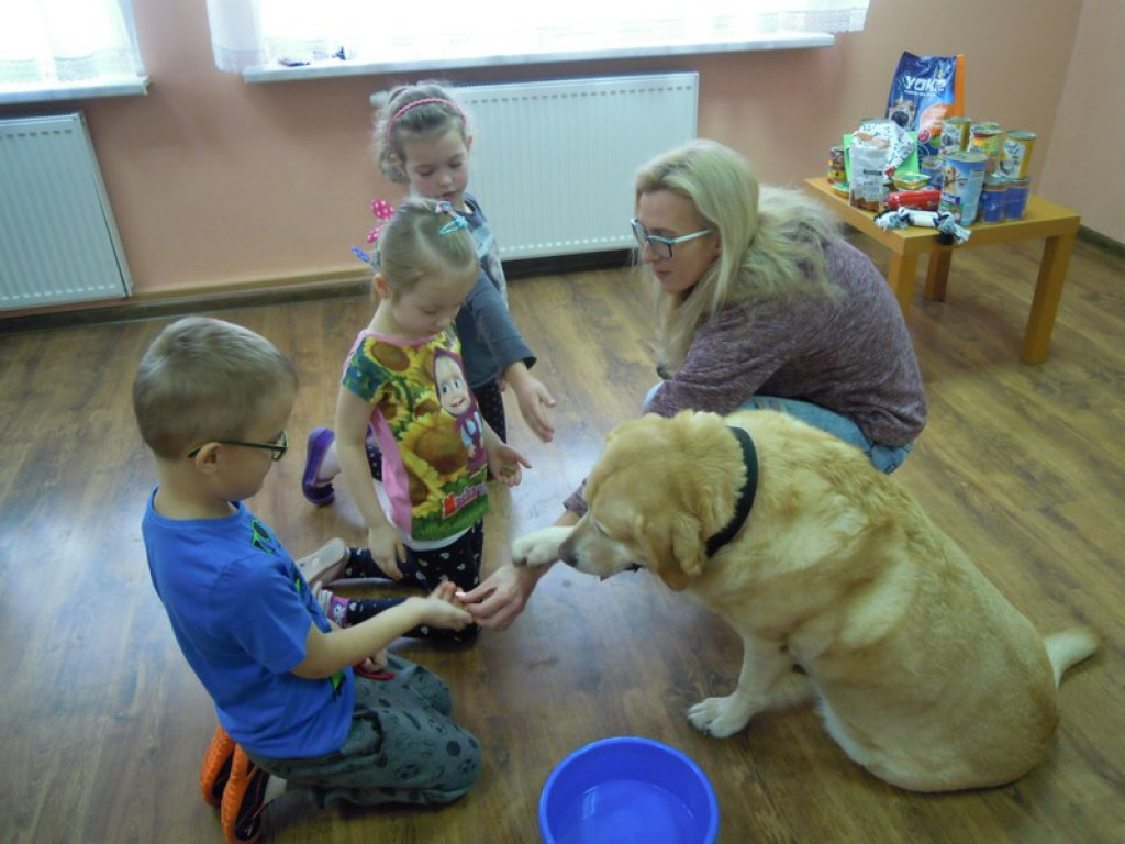 Przedszkolaki kochają zwierzaki