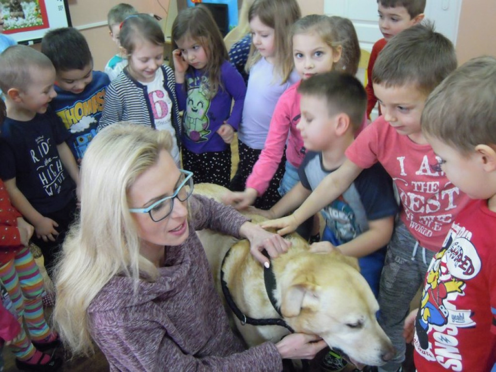 Przedszkolaki kochają zwierzaki