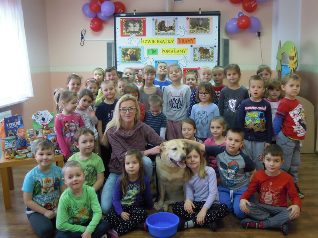 Przedszkolaki kochają zwierzaki