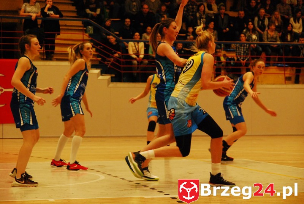 KSK Stal Brzeg bardzo pewnie wygrywa z MKS Polkowice [fotorelacja]