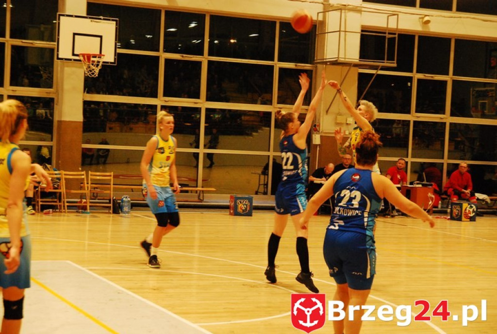 KSK Stal Brzeg bardzo pewnie wygrywa z MKS Polkowice [fotorelacja]