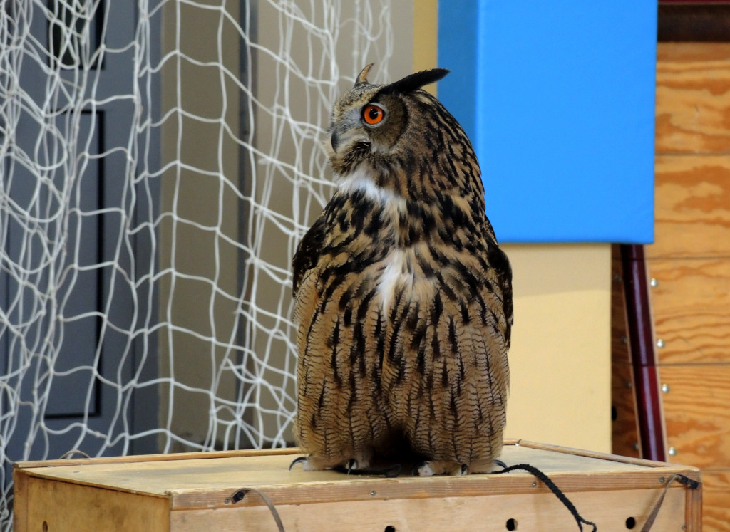 Odlotowe lekcje w Ósemce