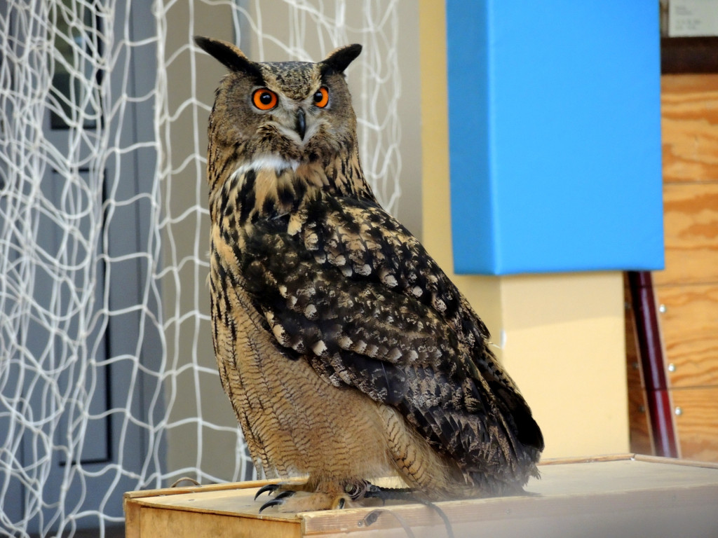 Odlotowe lekcje w Ósemce