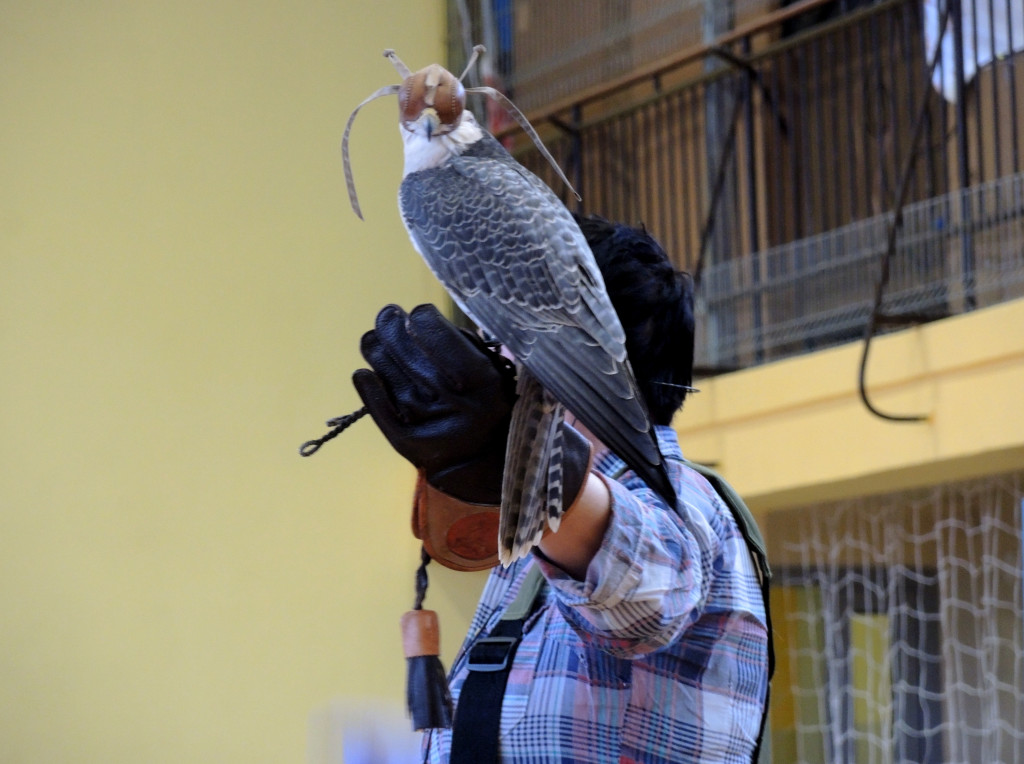 Odlotowe lekcje w Ósemce