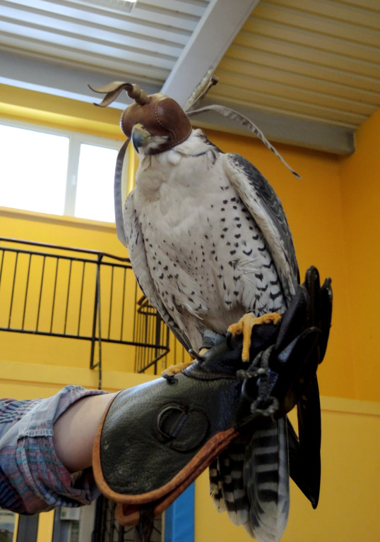 Odlotowe lekcje w Ósemce