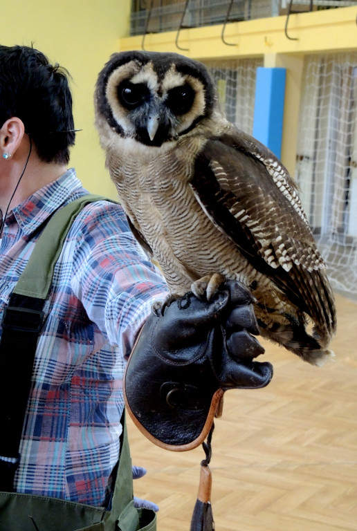 Odlotowe lekcje w Ósemce