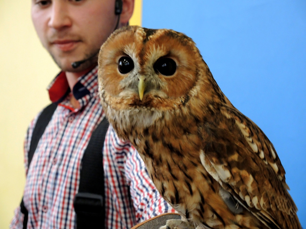 Odlotowe lekcje w Ósemce