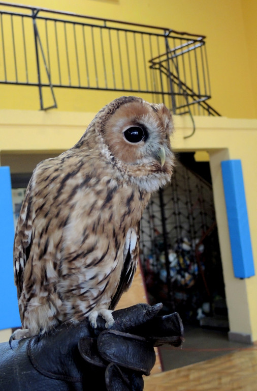 Odlotowe lekcje w Ósemce