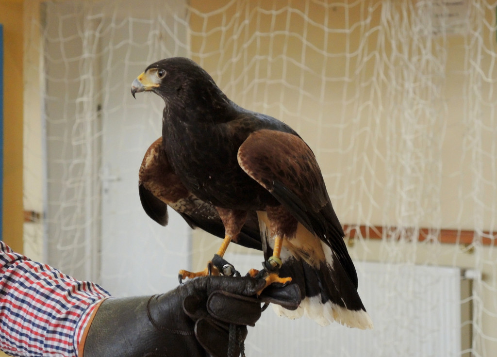 Odlotowe lekcje w Ósemce