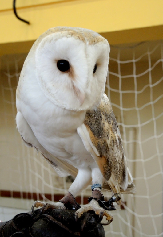 Odlotowe lekcje w Ósemce