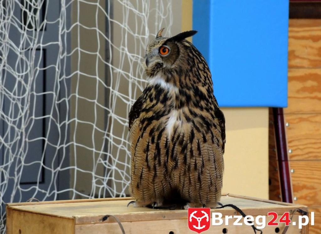 Odlotowe lekcje w Ósemce