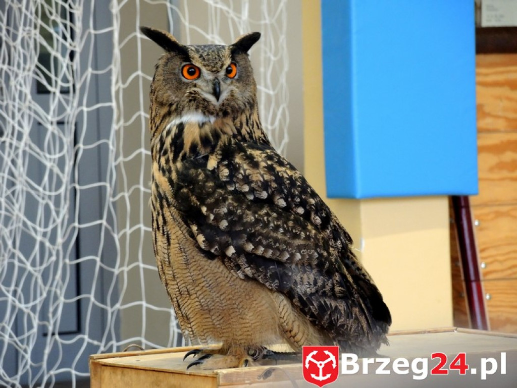 Odlotowe lekcje w Ósemce