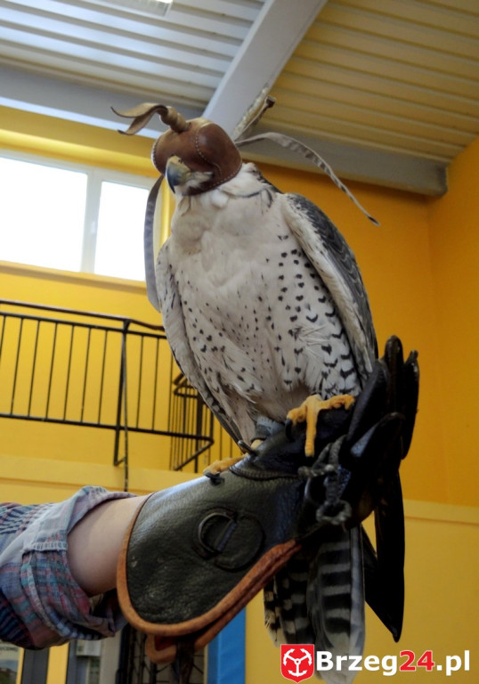 Odlotowe lekcje w Ósemce