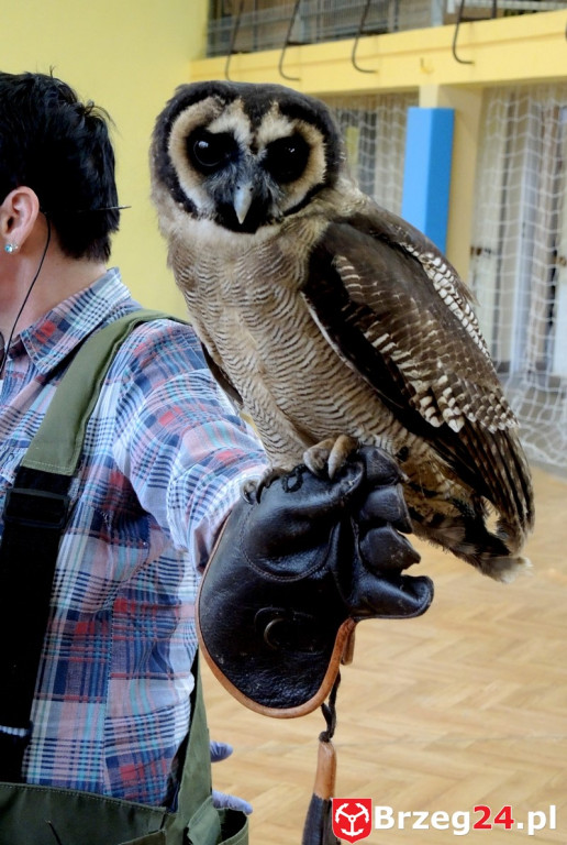 Odlotowe lekcje w Ósemce
