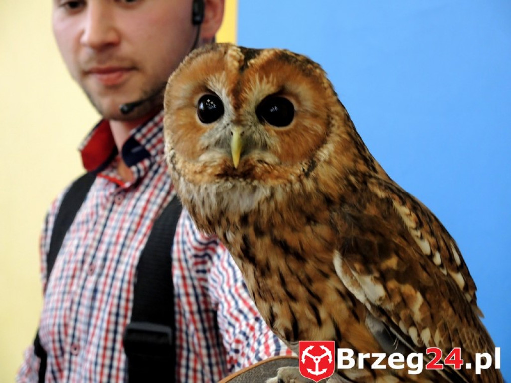 Odlotowe lekcje w Ósemce