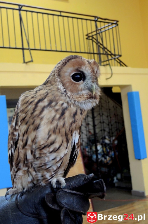 Odlotowe lekcje w Ósemce