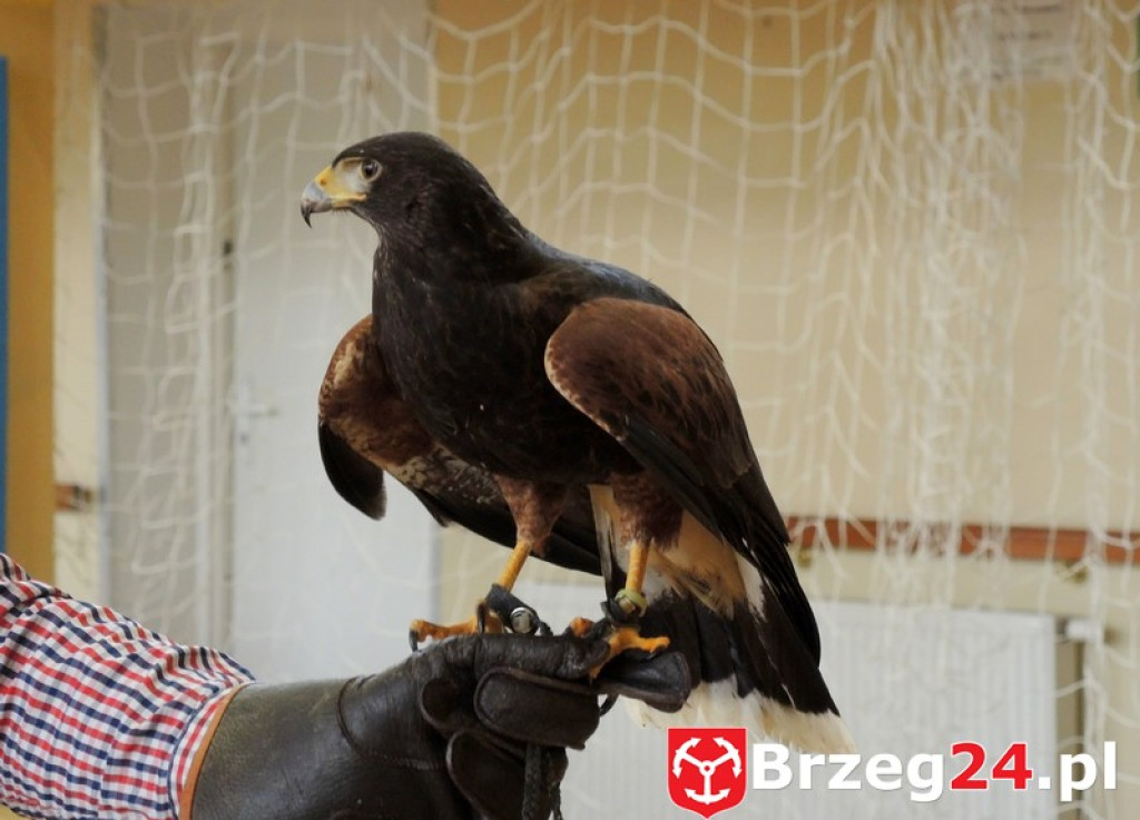 Odlotowe lekcje w Ósemce