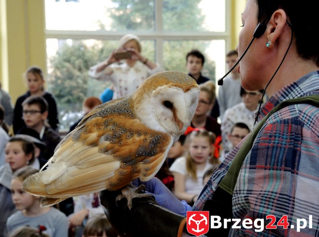 Odlotowe lekcje w Ósemce