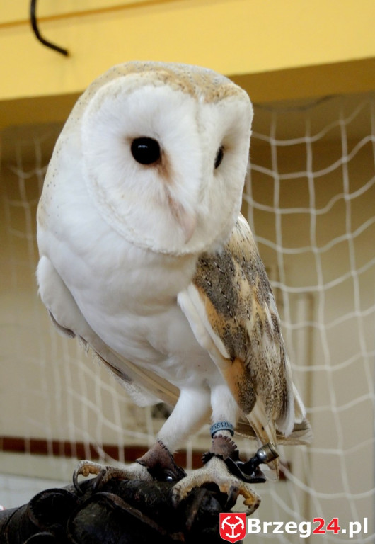 Odlotowe lekcje w Ósemce