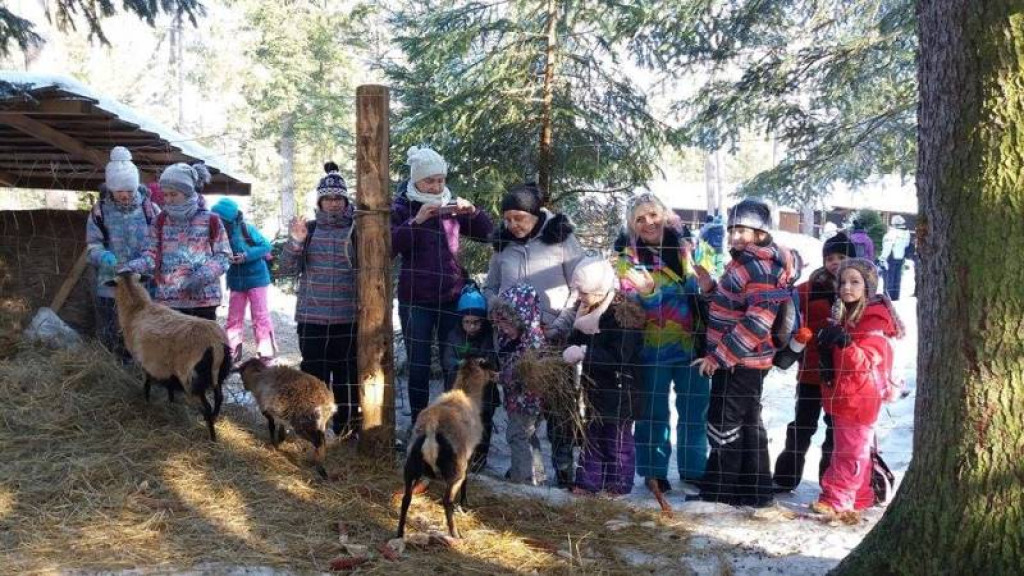 Zimowisko w Murzasichle