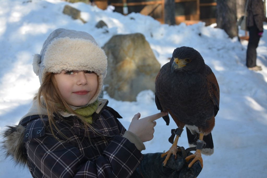 Zimowisko w Murzasichle