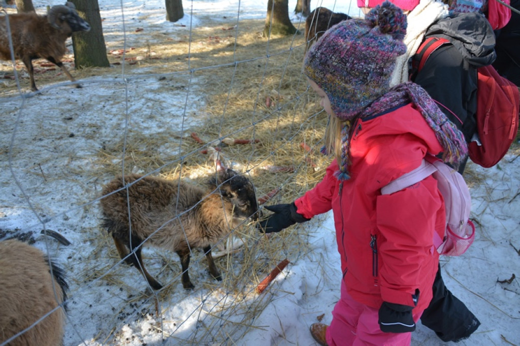 Zimowisko w Murzasichle