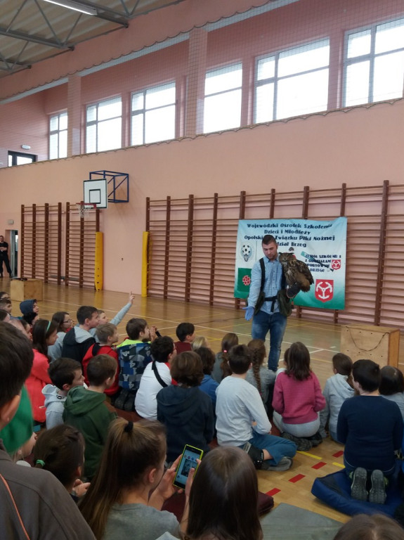 Hej, sokoły  czyli odlotowe lekcje w Zespole Szkół nr 1  z Oddziałami Sportowymi w Brzegu