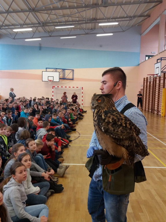 Hej, sokoły  czyli odlotowe lekcje w Zespole Szkół nr 1  z Oddziałami Sportowymi w Brzegu