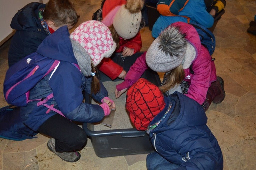 Saperskie zimowisko 2017