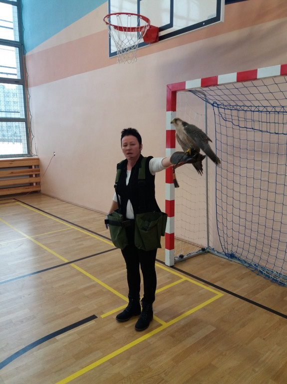 Hej, sokoły  czyli odlotowe lekcje w Zespole Szkół nr 1  z Oddziałami Sportowymi w Brzegu